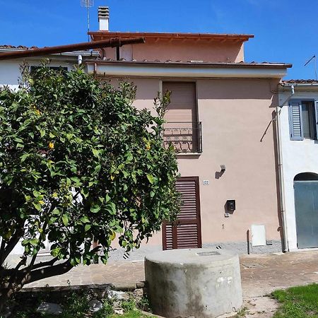 Appartamento Il Limone بيزا المظهر الخارجي الصورة